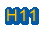 H11