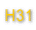 H31